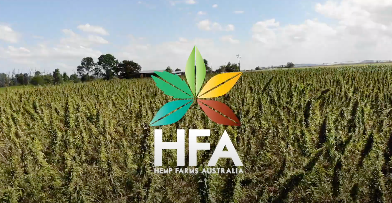 Hemp Farms Australia - Ruby Crop Queensland